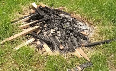  Copaci plantați de Primărie devastati după petrecerile de 1 Mai (IMAGINI)