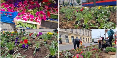  Angajații Primăriei aduc un curcubeu în Centrul Civic cu 5600 de flori!