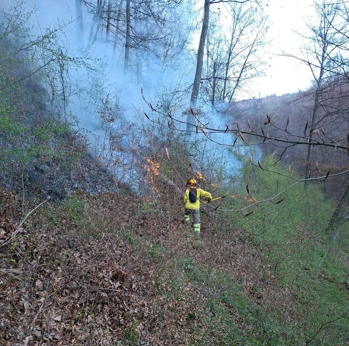 11 incendii pe pășuni și păduri în Bihor, peste 50 de hectare afectate