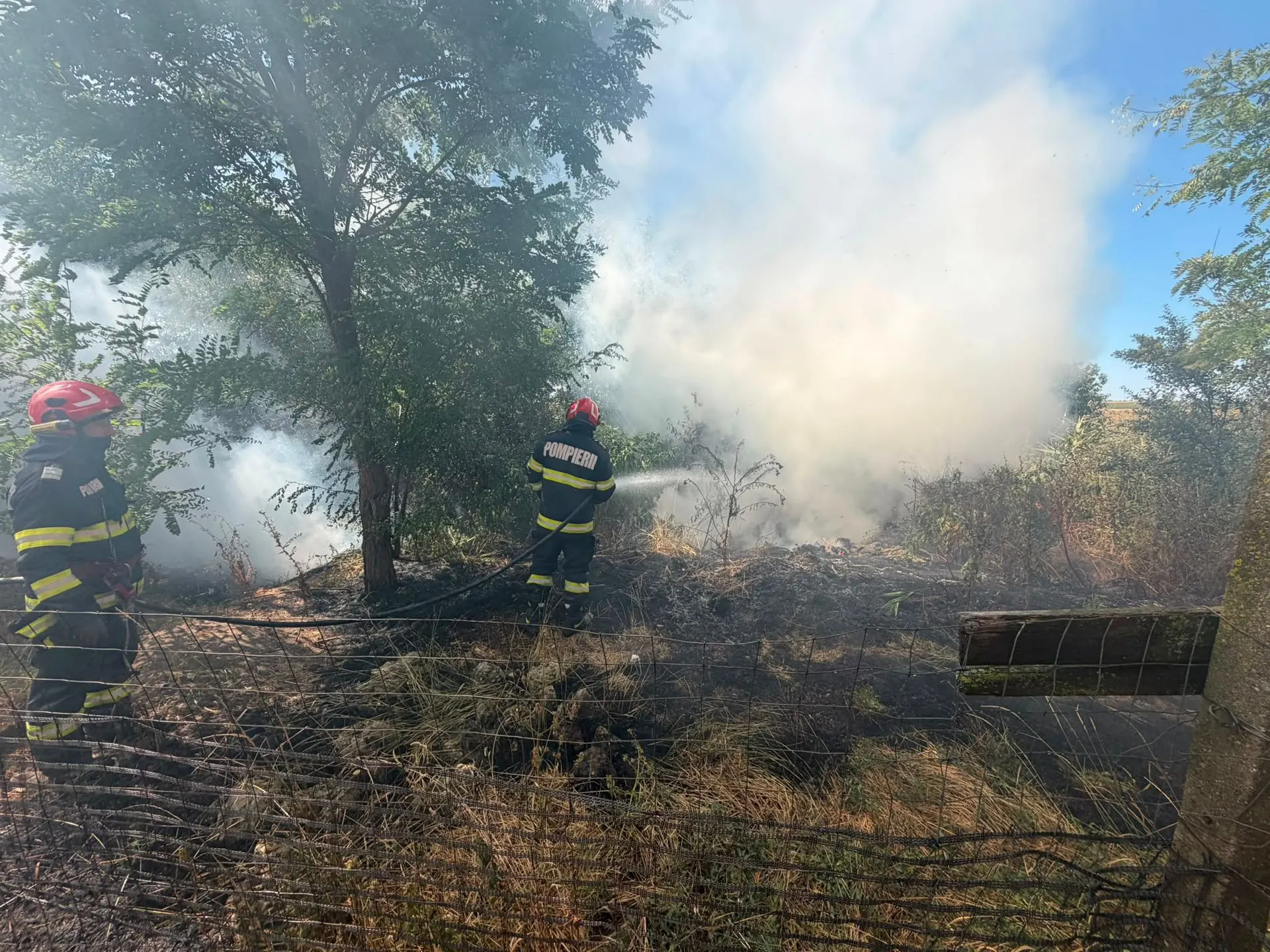 15 incendii de vegetație în Bihor, în weekend: aproape 40 de hectare afectate