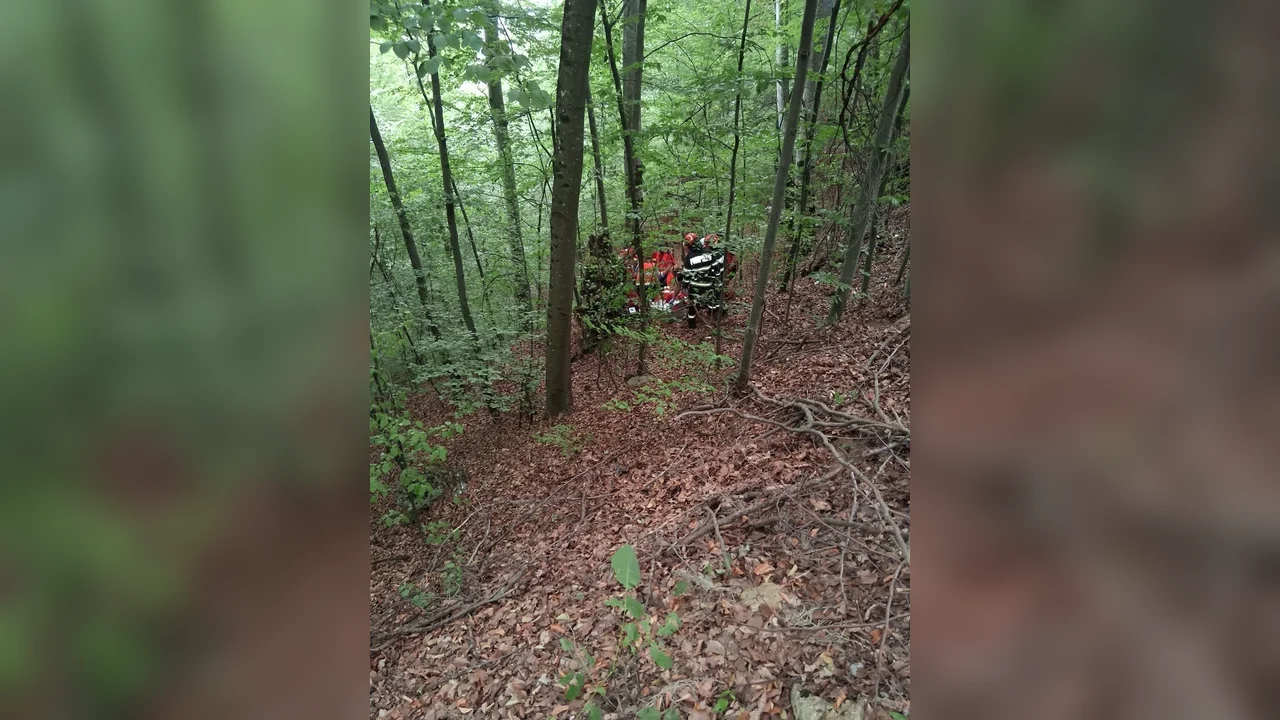 Între Bratca și Damiș: un motociclist a murit după ce a căzut într-o râpă