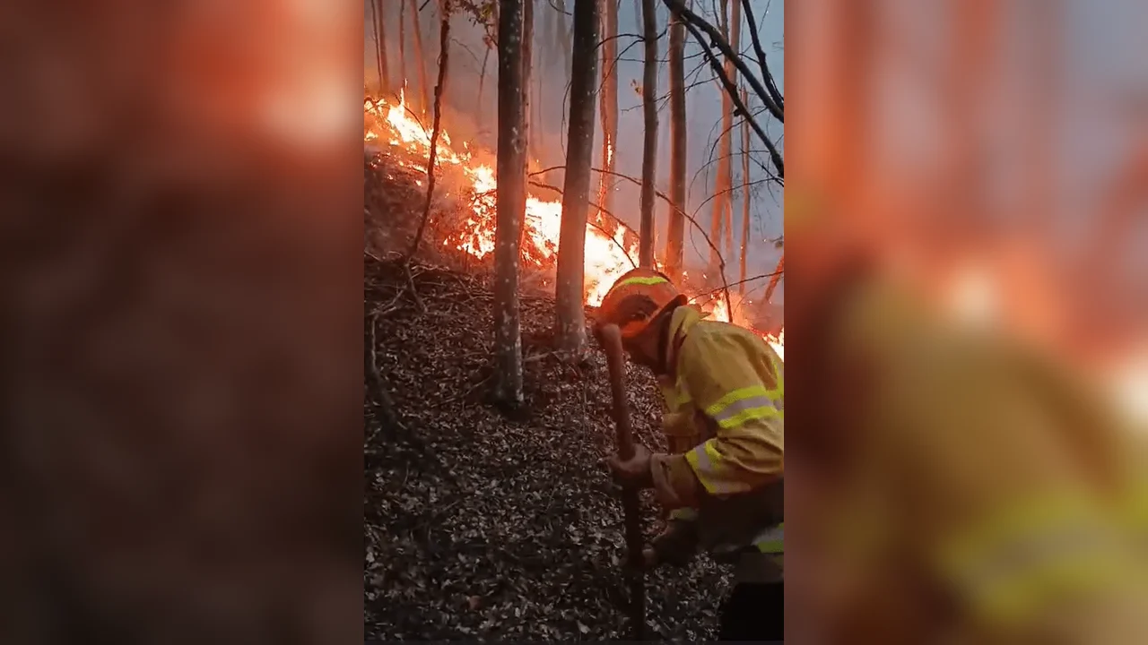 Incendiu de proporții la Tărcăița: a treia zi, peste 60 de pompieri în teren