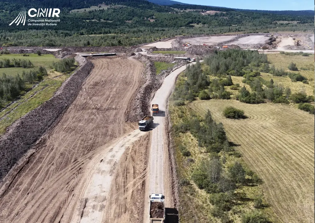 Lugașu de Sus: 171 de arbori tăiați fără drept, patru bărbați reținuți