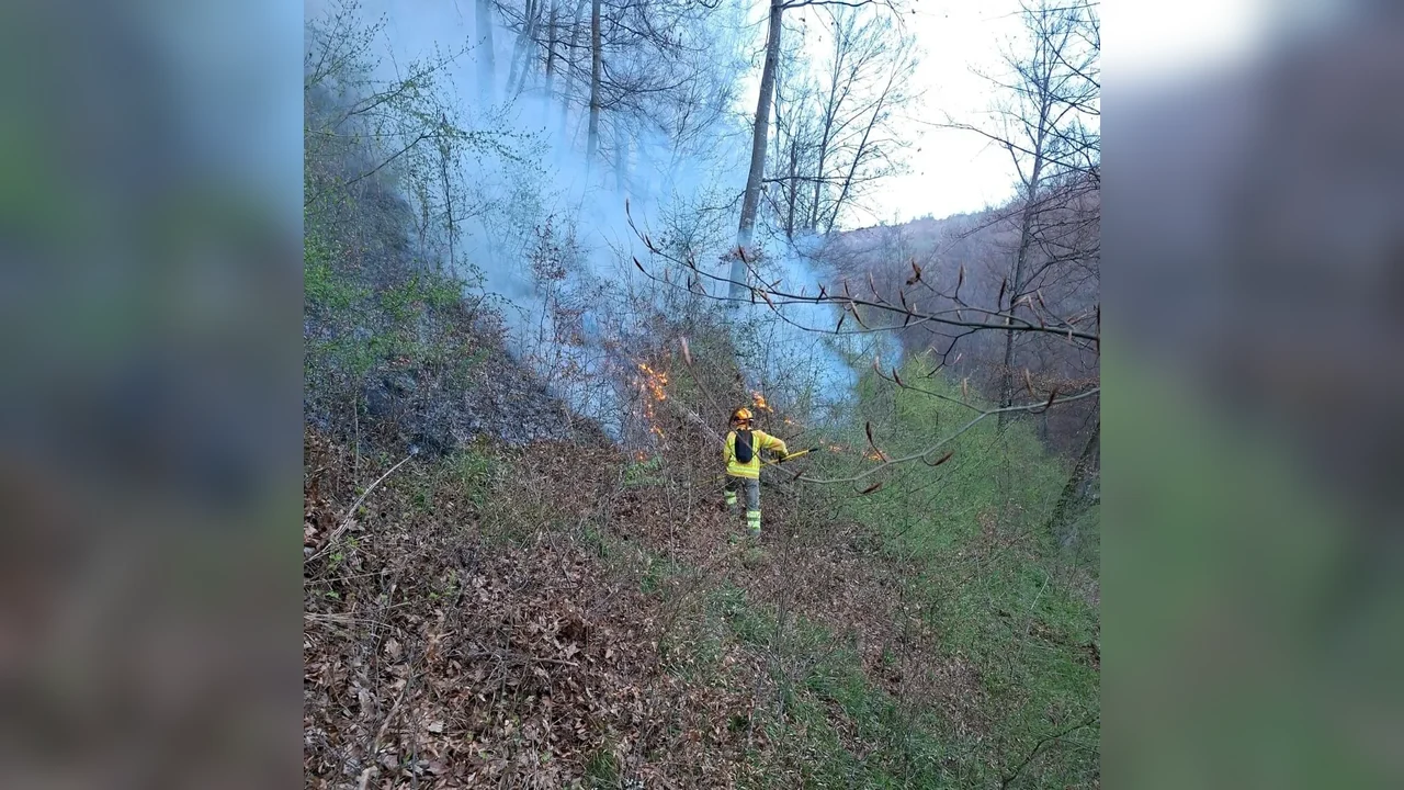 14 pompieri bihoreni, misiune de sprijin la incendiul din Domogled